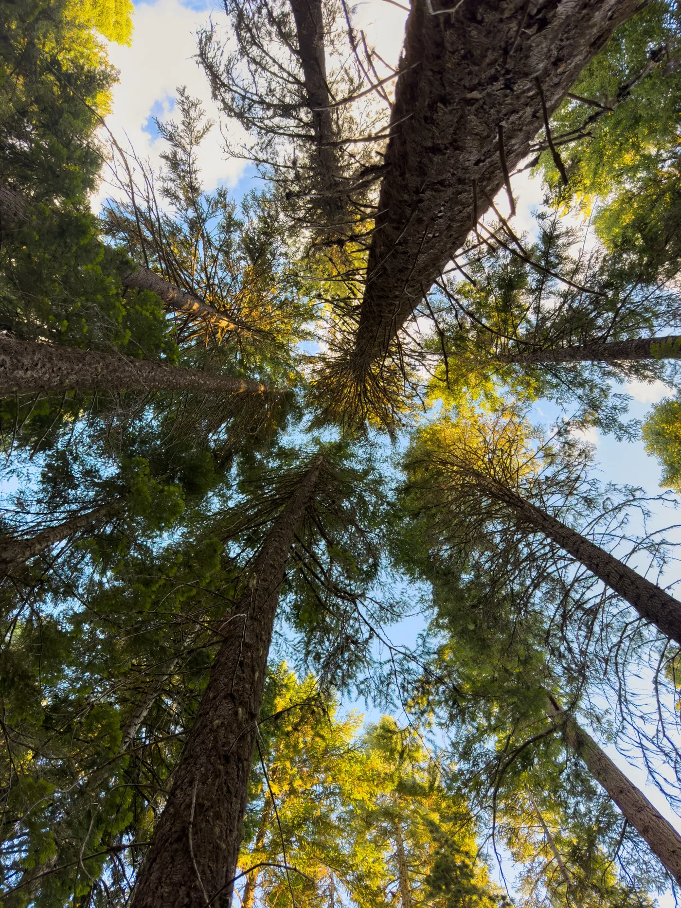 Odell Lake Weekend — camp