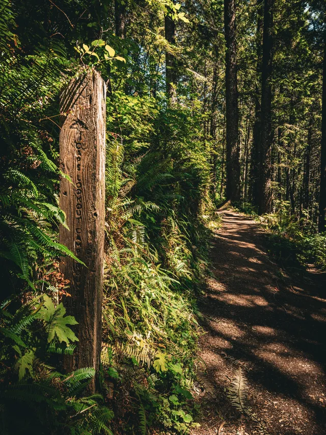 Cape Trail + huckleberries