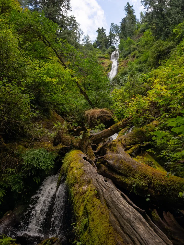 Cape Lookout Weekend — photograph
